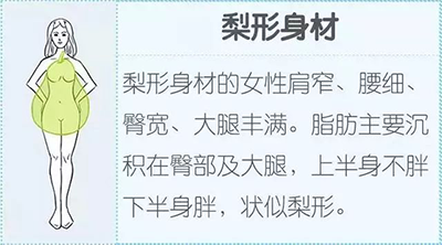 梨形身材.png 梨形身材.png